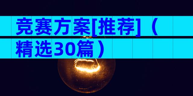 竞赛方案[推荐]（精选30篇）